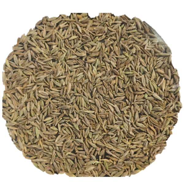 ADİDO (KİMYON) Kimyon (Cuminum syminum L.)
