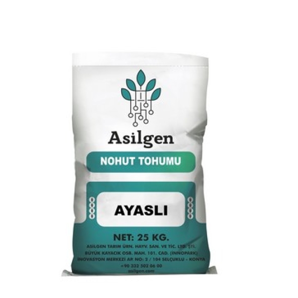 AYASLI Nohut Tohumu (Cicer arietinum)