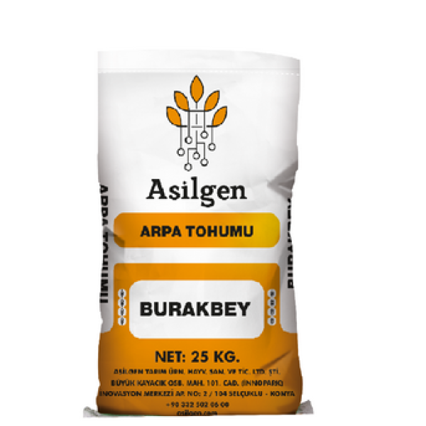 BURAKBEY Arpa Tohumu (Hordeum vulgare L.)