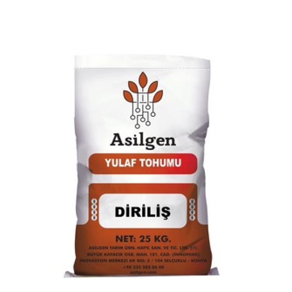 DİRİLİŞ Yulaf Tohumu ( Avena sativa L.)