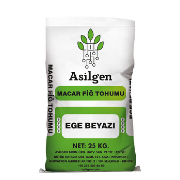 EGE BEYAZI Macar Fiğ Tohumu (Vicia pannonica CRANTZ.)