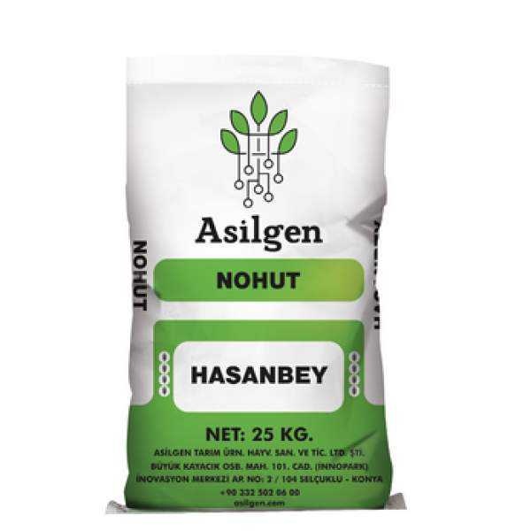 HASANBEY Nohut Tohumu (Cicer arietinum)