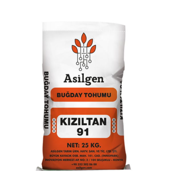 KIZILTAN 91 Makarnalık Buğday Tohumu (Triticum aestivum)