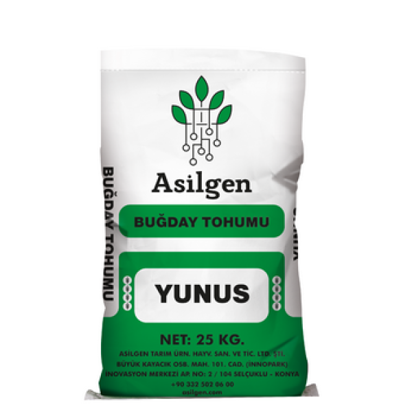 YUNUS Ekmeklik Buğday Tohumu ((bread wheat germ (aestivum ssp. vulgare))