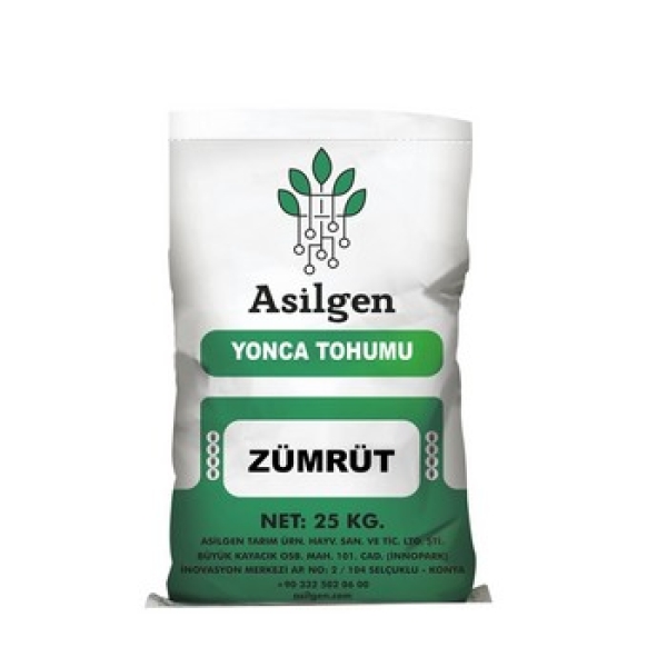 ZÜMRÜT Yonca Tohumu (Medicago sativa)