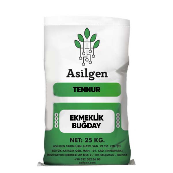 Tennur Ekmeklik Buğday