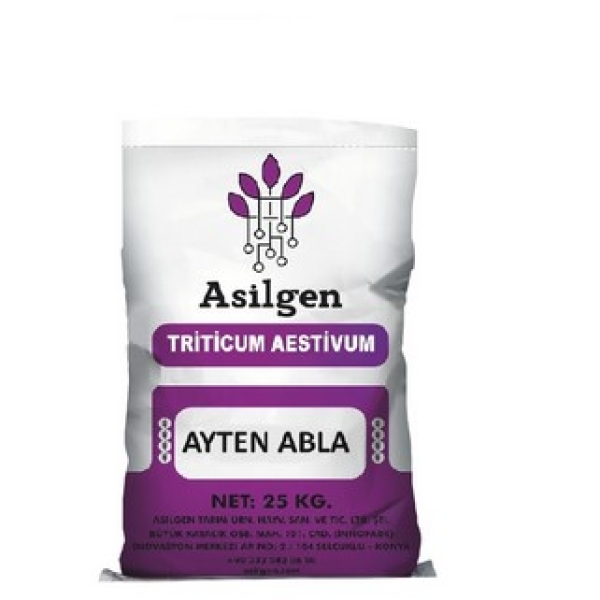 AYTEN ABLA