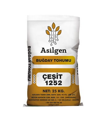 Makarnalık Buğday Tohumu  (Triticum aestivum)