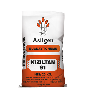 Makarnalık Buğday Tohumu  (Triticum aestivum)