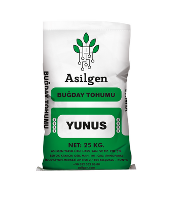 Ekmeklik Buğday Tohumu ((bread wheat germ (aestivum ssp. vulgare))