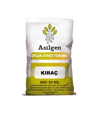 Otlak Ayrığı Tohumu (Agropyron cristatum)